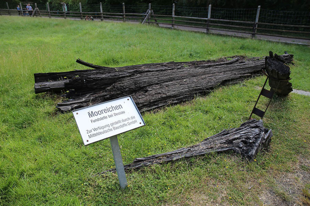 Foto: Leipzig - Wildpark Leipzig | Das Team hinter BILDLEXIKON LEIPZIG bündelt historische wie aktuelle Informationen über die Stadt Leipzig in Text und Bild auf einer Plattform und stellt diese der interessierten Öffentlichkeit zur Verfügung.