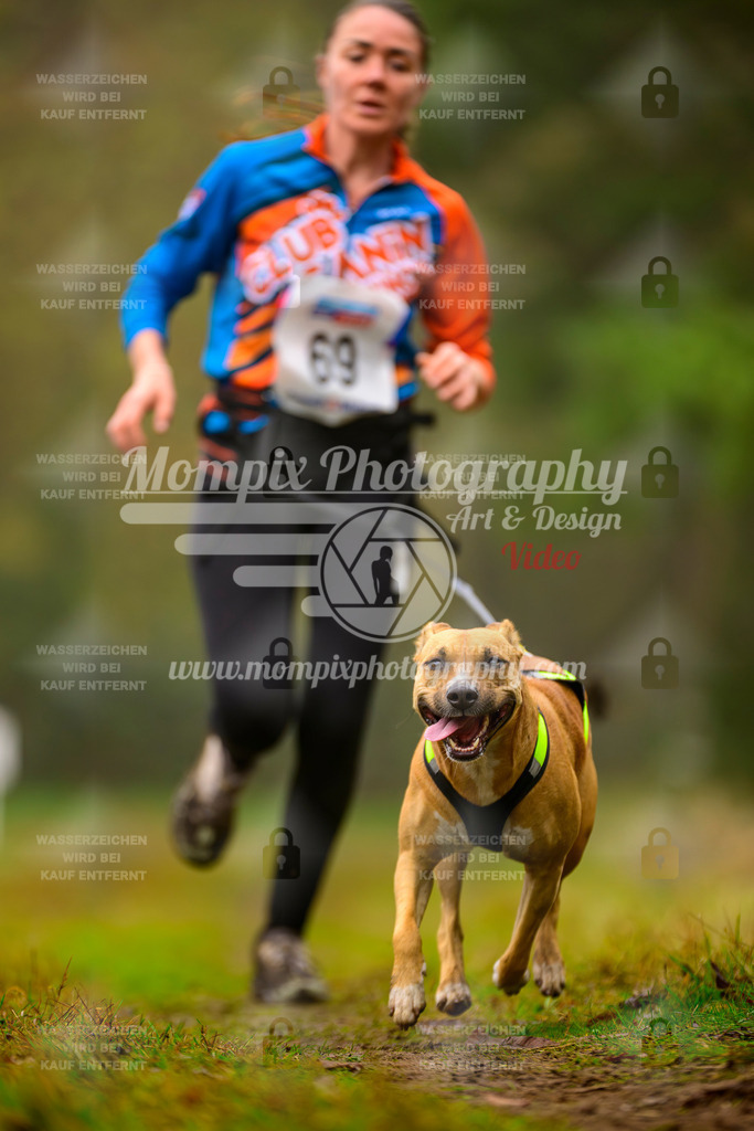 MompixPhotography_Bischwiller2025_Canicross-167 | mompixphotography