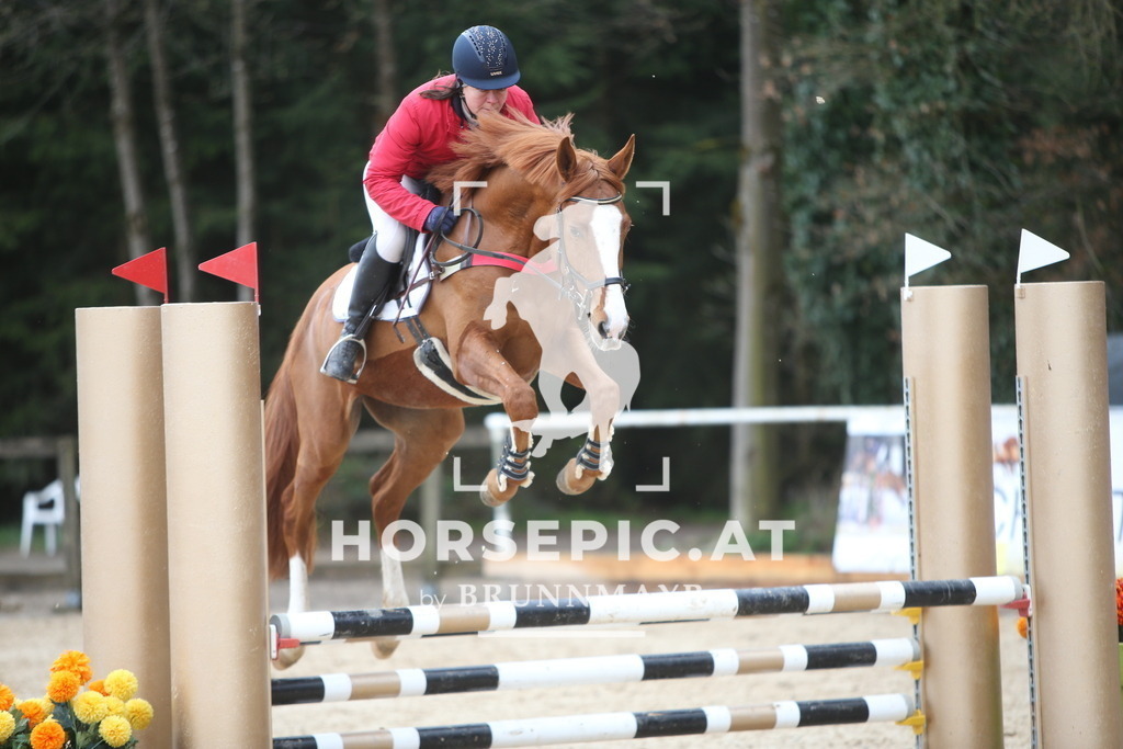 AS8V9941 | Willkommen bei Brunnmayr - Design & Fotografie – Ihrem Spezialisten für Reitturniere und Pferdeveranstaltungen in Oberösterreich, Salzburg und Bayern! Seit über 17 Jahren sind wir leidenschaftlich dabei.