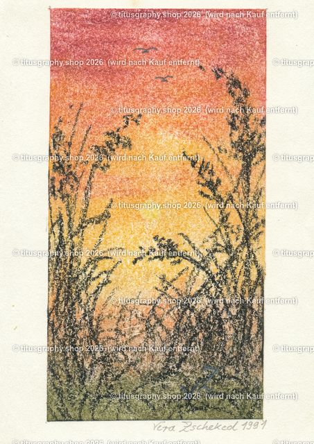 Wiese | Zeichnung von Vera Zschecked exclusiv auf titusgraphy.eu - Realisiert mit Pictrs.com