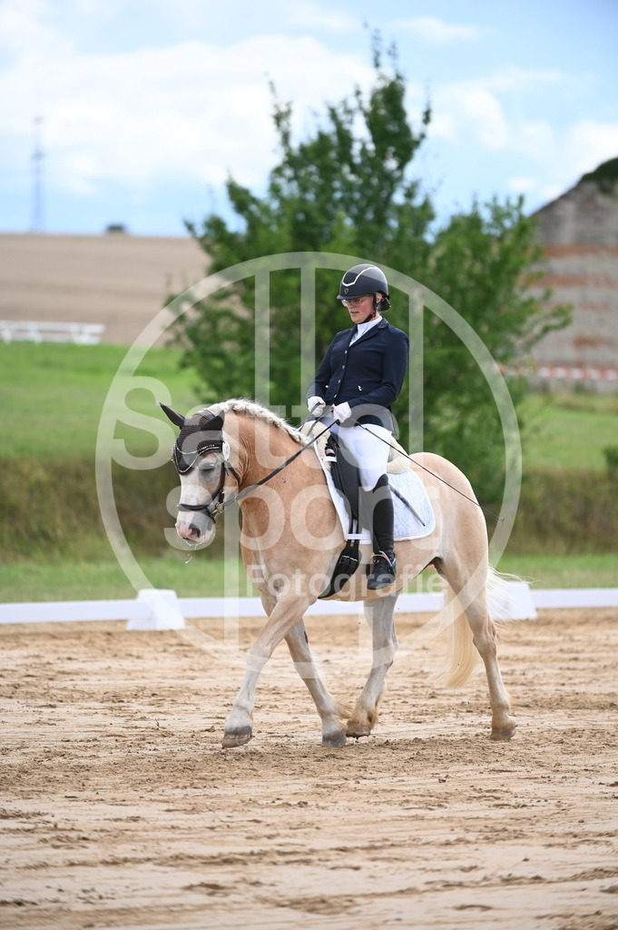 DSC_7411 | sattelsport - Realisiert mit Pictrs.com