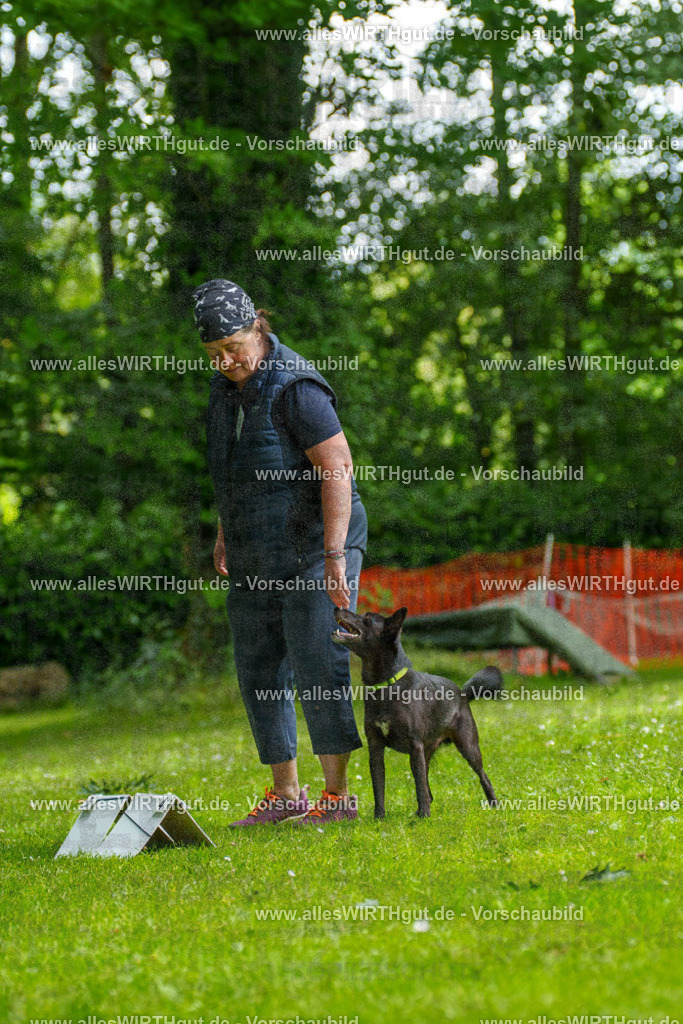 @allesWIRTHgut_Tierfotografie - www.allesWIRTHgut.de - 124339-7R509370 | Professionelle Tierfotografie in Mönchengladbach von Daniel Wirth (allesWIRTHgut). Liebevolle & natürliche Bilder von Hunden & Katzen für unvergessliche Erinnerungen.
