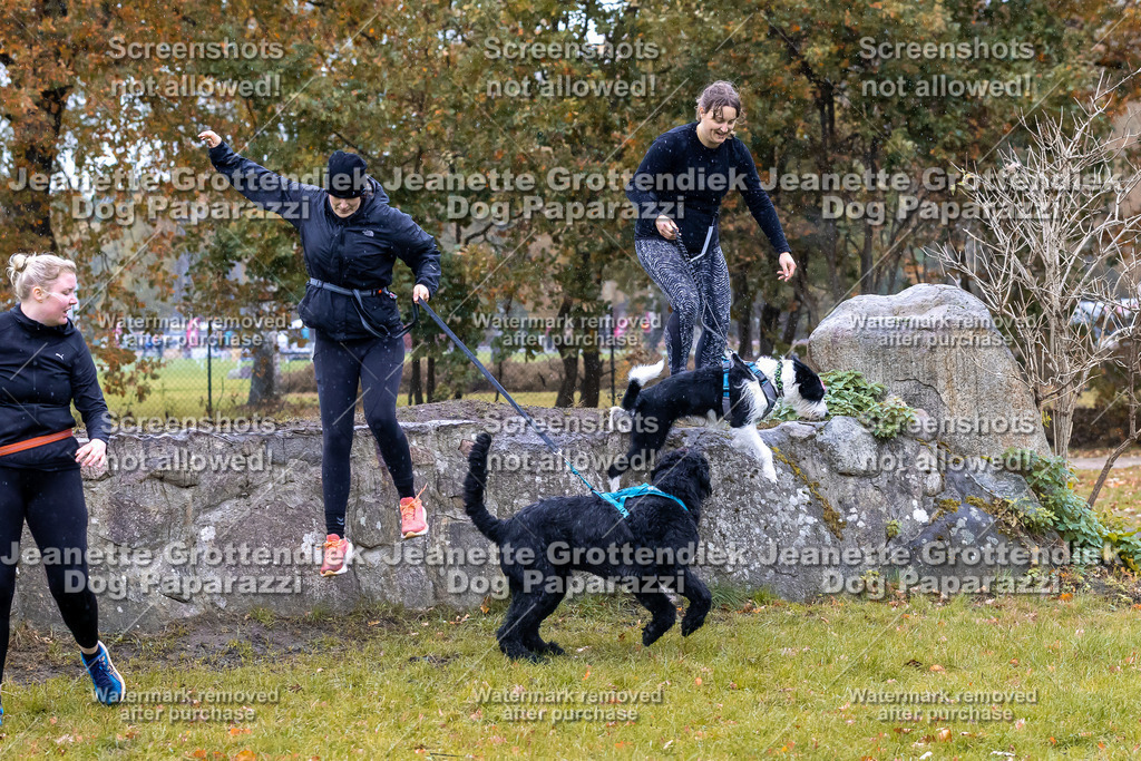 Dog Paparazzi - SD CaniX Championship 2025-748 | Dog Paparazzi Jeanette Grottendiek Fotografie & Videografie - Realisiert mit Pictrs.com