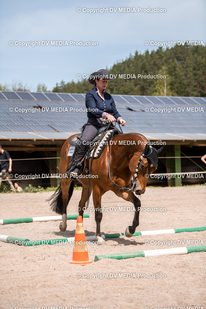 Balingen Tag 4-637 | dv-media-shop - Realisiert mit Pictrs.com