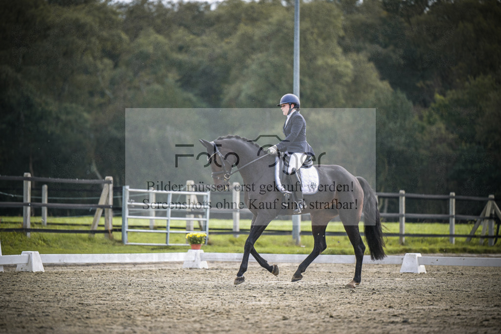 DOS_B238 | Entdecke hochwertige Reitturnierfotos von Foto Oger. Professionell, emotional und authentisch – jetzt Lieblingsmomente im Shop bestellen.Deutschlandweite Turnierfotografie. - Realisiert mit Pictrs.com