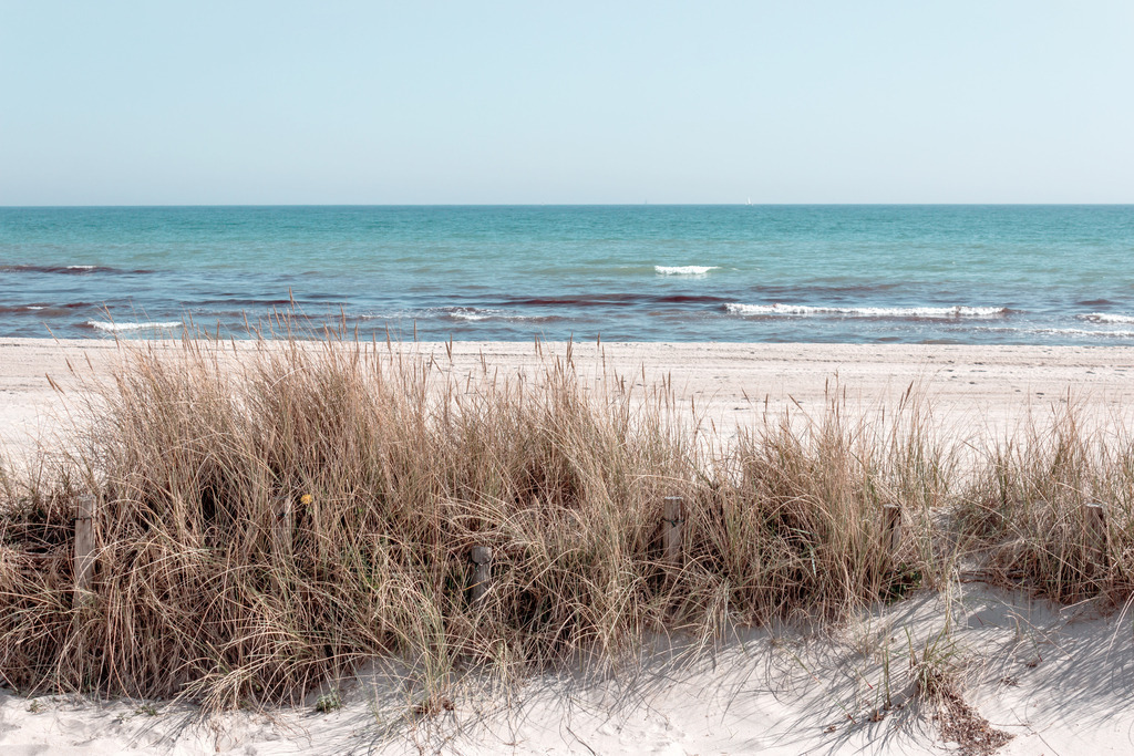 Wandbild: Strandhafer und Wellen | Dieses Wandbild im Querformat zeigt Strandhafer am Sandstrand. Der Strandhafer wächst zwischen einem Sandfang. Auf dem Meer sind einige Wellen zu sehen. Die Farben auf dem Wandbild sind überwiegend dezent. Dabei sind leichte Blau- und Beigetöne zu sehen. Holen Sie sich mit diesem dekorativen Wandbild den Strandurlaub für das ganze Jahr nach Hause oder an den Arbeitsplatz. Es ist auf Leinwand, auf Aluminium-Platte, Acrylglas oder als Holzdruck erhältlich. Dabei wird es individuell für Sie in vielen Abmessungen produziert. Daher passen die Ostseekult Wandbilder immer perfekt an Ihre Wände.  - Realisiert mit Pictrs.com