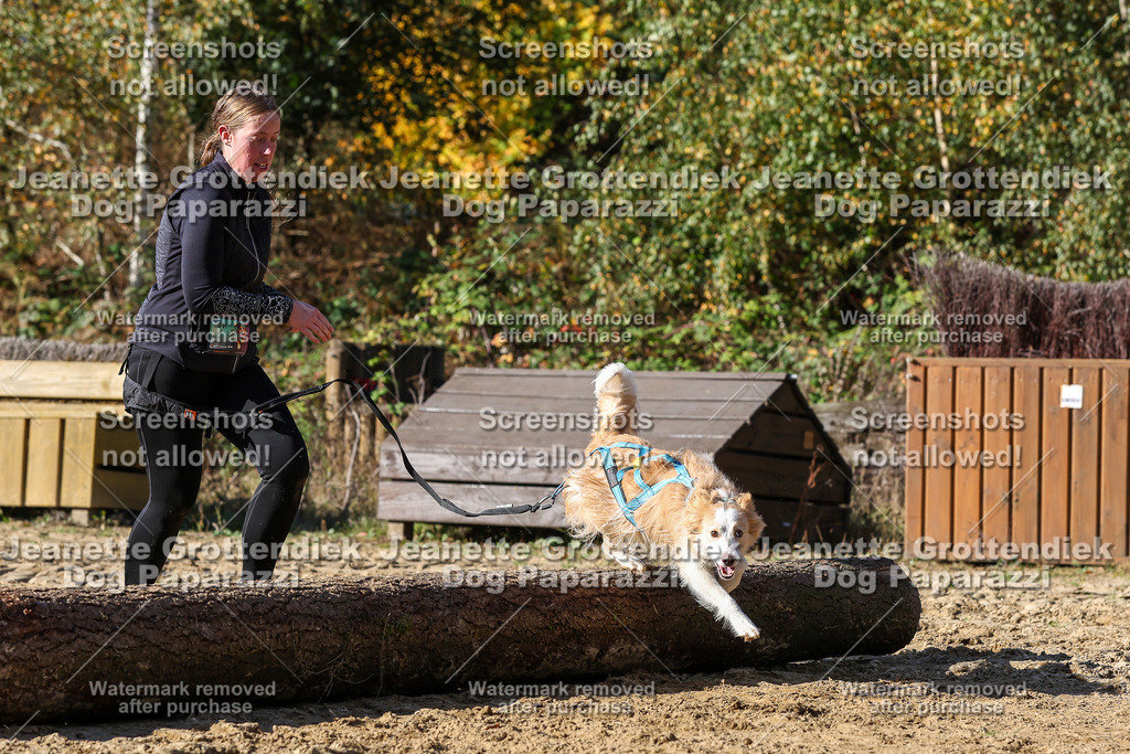 Dog Paparazzi - Strongdog 10-25-4696 | Dog Paparazzi Jeanette Grottendiek Fotografie & Videografie - Realisiert mit Pictrs.com