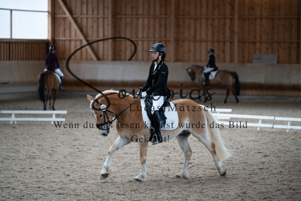 A7V09681 | Pferdefotograf