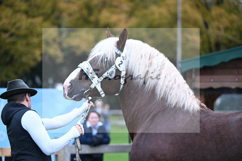 Kat-Nr. 2 Variano v. Versailles_Walter_41250018 | hf-fotografie - Realizzato con Pictrs.com