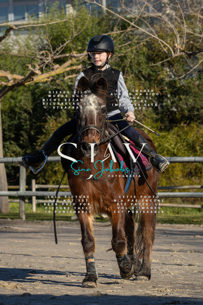 IMG_7708 | s-jay-photography - Realisiert mit Pictrs.com