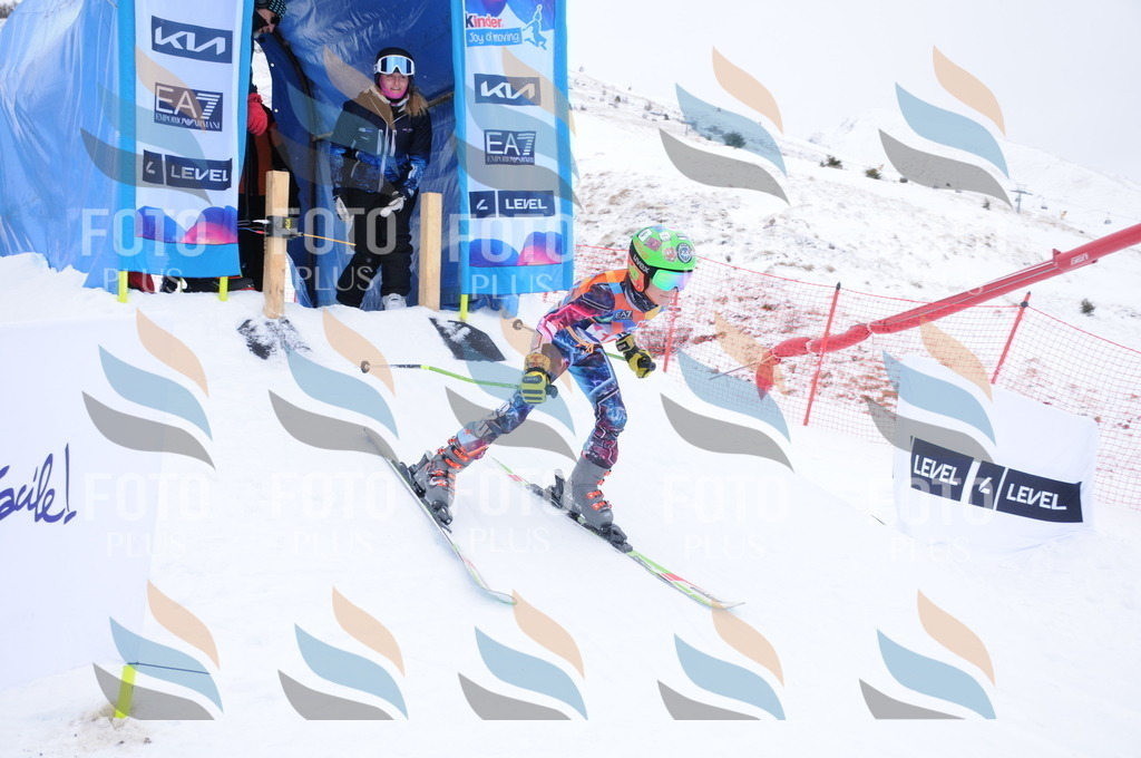 DSC_8878 | holidayphoto