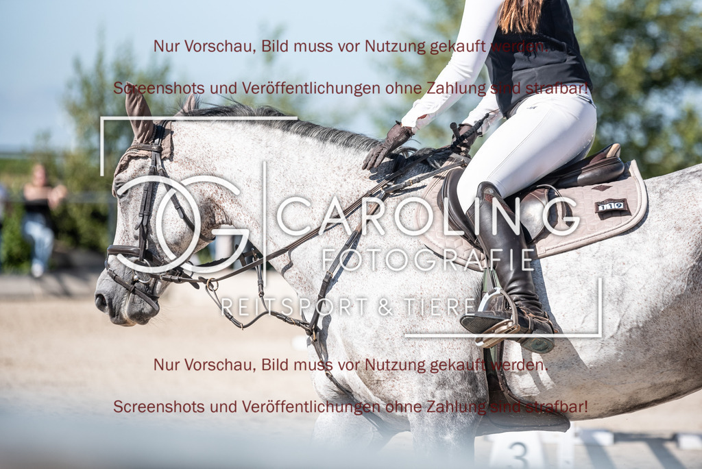 DSC_2494 | Turnierfotografin Carolin Gieschke, Turnierfotografie Carolin G Fotografie, Turnierfotos Kirchheim/Teck, Esslingen, Stuttgart, Bodenseekreis