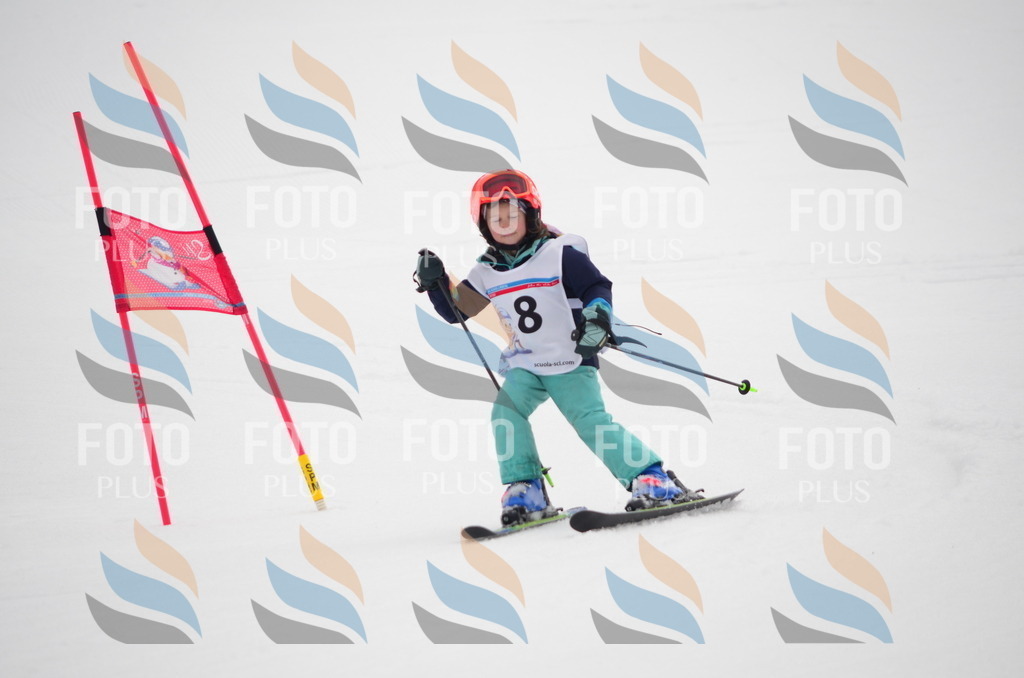 C0133 | holidayphoto