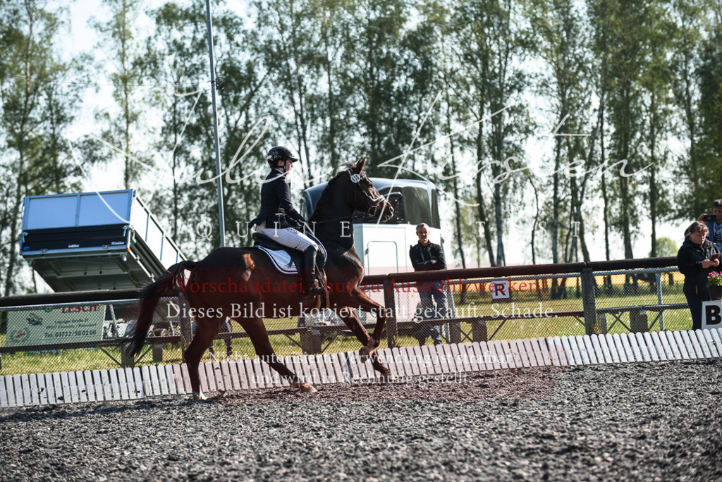 DSC_8303 | Pferde- und Turnierfotografie in Westsachsen. Pferdeportraits, Auftragszeichnungen und intuitive Kunst.