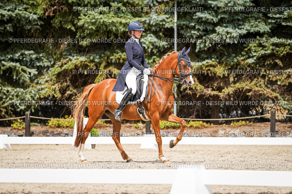 DSC06145 | Pferdegrafie