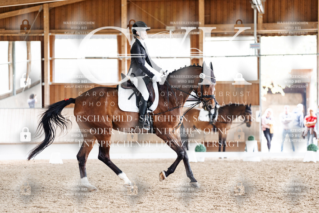 CK900728 | Turnierfotografie Pferdefotografie Trier Rheinland-Pfalz Pferdesport Reitsport Tierfotografie Sportfotografie Pferdevideo Pferdevideografie Equestrianvideography equestrianphotography  - Realisiert mit Pictrs.com