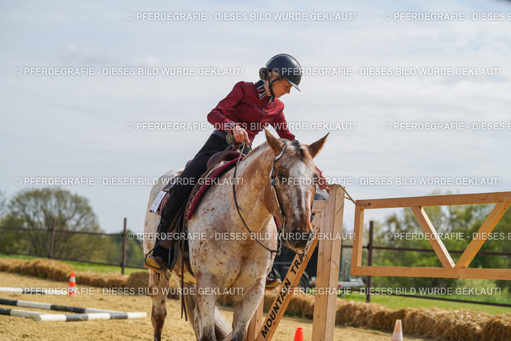 DSC04378 | Pferdegrafie