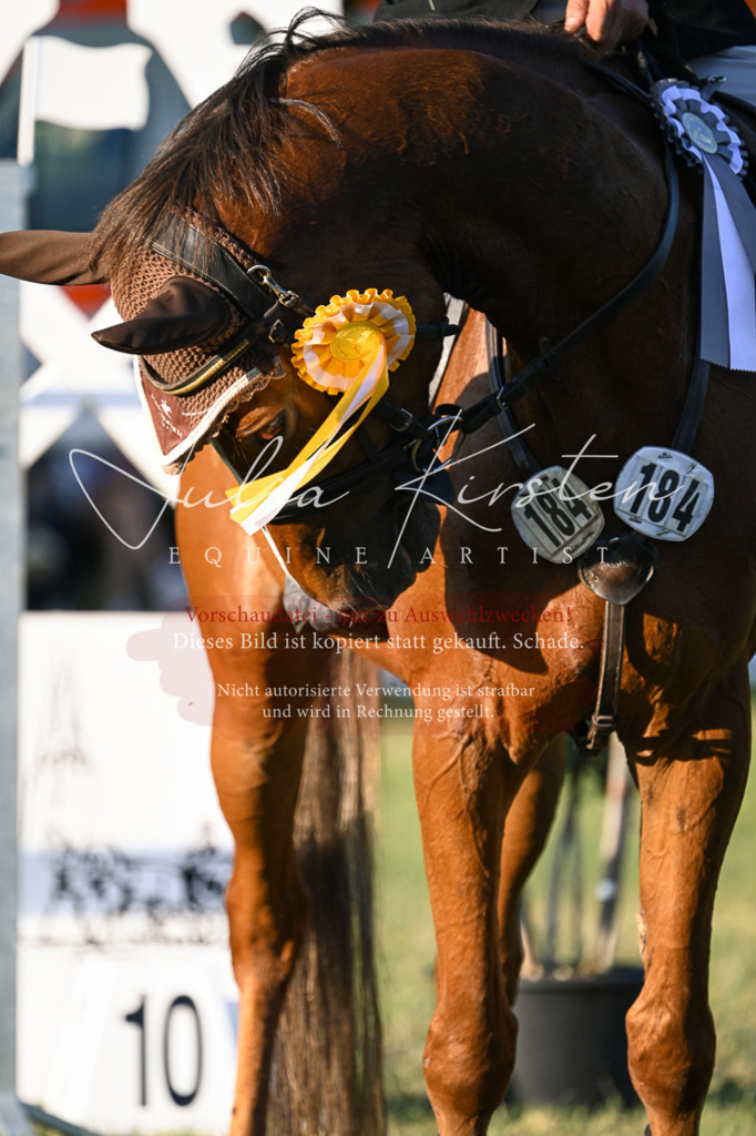 DSC_1874 | Pferde- und Turnierfotografie in Westsachsen. Pferdeportraits, Auftragszeichnungen und intuitive Kunst.