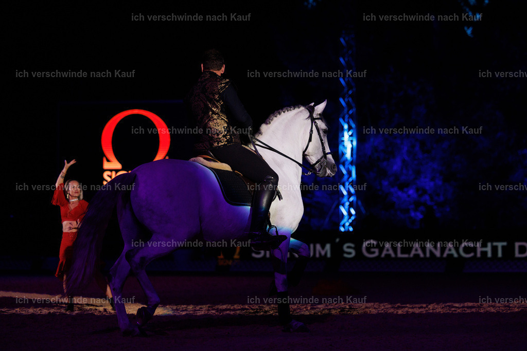 FHClassics-162 | working equitationturnier fotograf videograf stoibphotography marixx film working equitation deutschland reitsport turnierfotografie eventfotografie equestrian events