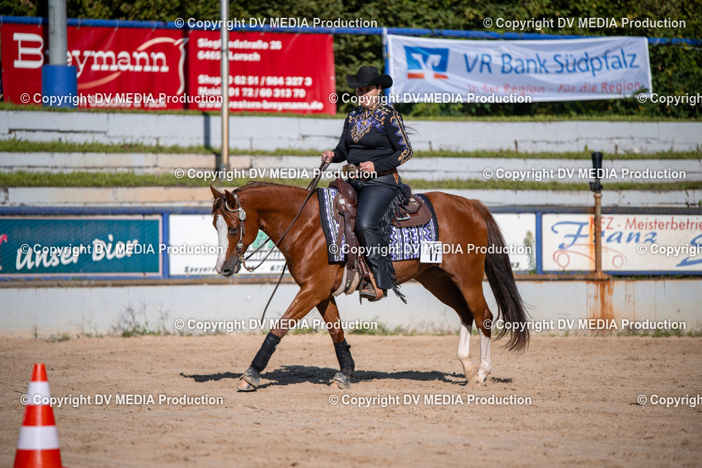 ZS1_0728 | dv-media-shop - Realisiert mit Pictrs.com