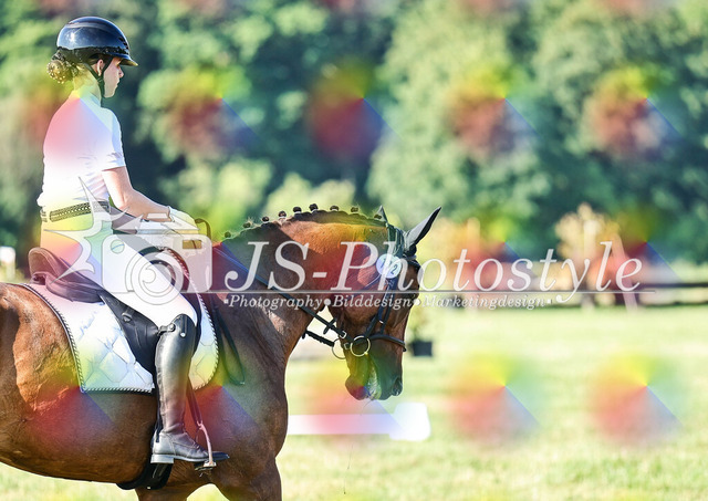 20260628_14a_VA_Dressur-70 | JS-Photostyle - Sport-/Portrait- & Eventfotografie