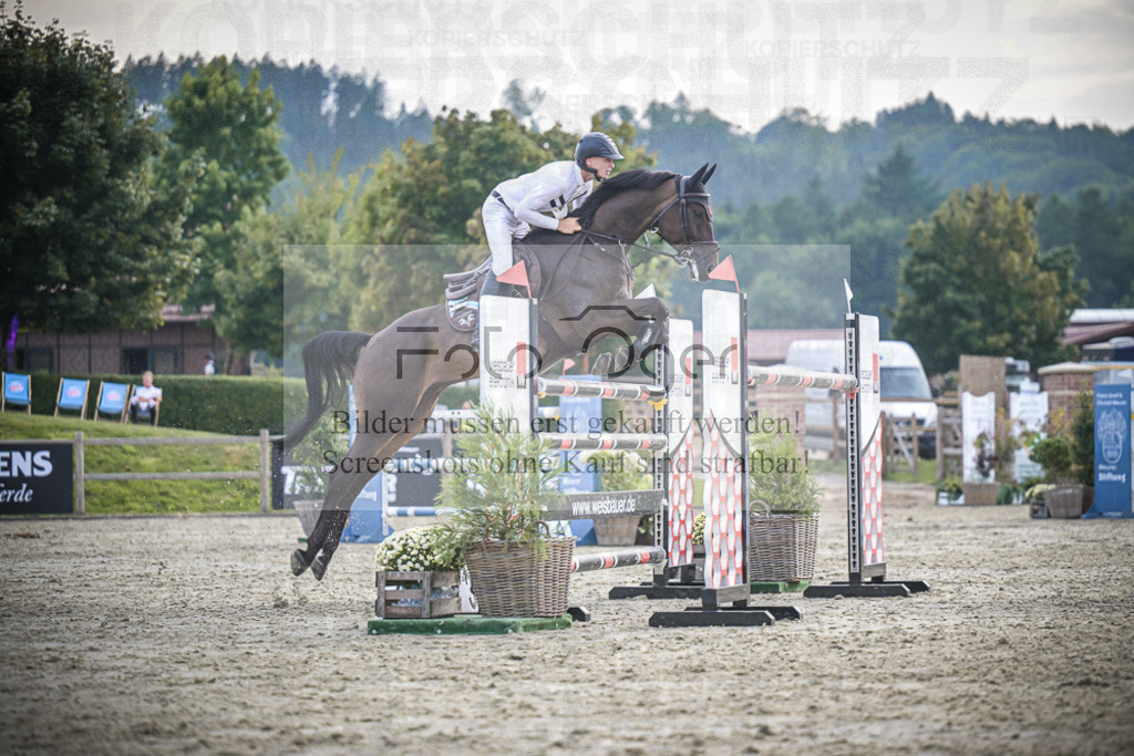 DOS_3634 | Entdecke hochwertige Reitturnierfotos von Foto Oger. Professionell, emotional und authentisch – jetzt Lieblingsmomente im Shop bestellen.Deutschlandweite Turnierfotografie. - Realisiert mit Pictrs.com