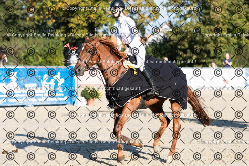 CL5A8169 | Emilia Reinking Fotografie - Realisiert mit Pictrs.com