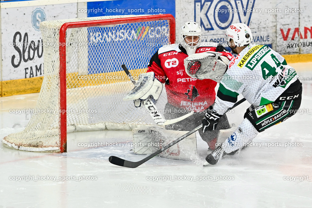 HDD Jesenice vs. EC Bregenzerwald 30.9.2022 | #30 Avsenik Urban, #44 Lipsbergs Roberts