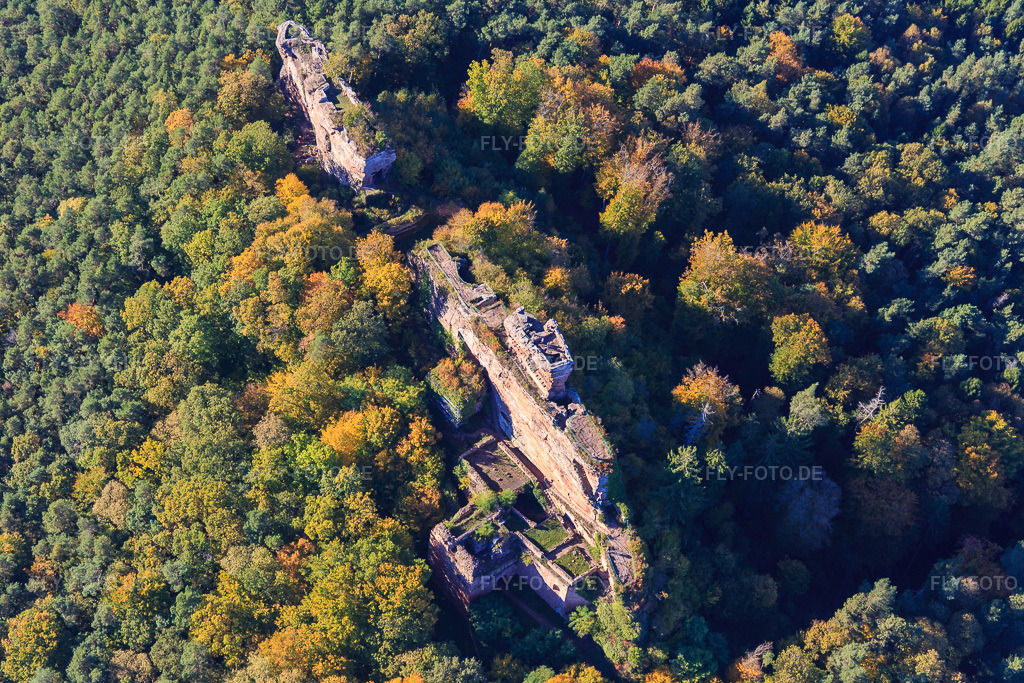 Luftbild: Burgruine Drachenfels in Busenberg im Bundesland Rheinland-Pfalz in Deutschland. Foto: IMG_103930.jpg vom 14.10.2017 durch Werner Riehm/FLY-FOTO.deWWW.WANDERPARADIES-WASGAU.DE