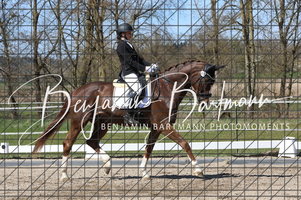 AZ2A4308 | Benjamin Bartmann Photomoments