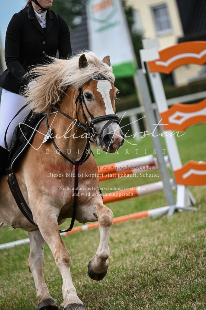 DSC_8406 | Pferde- und Turnierfotografie in Westsachsen. Pferdeportraits, Auftragszeichnungen und intuitive Kunst.