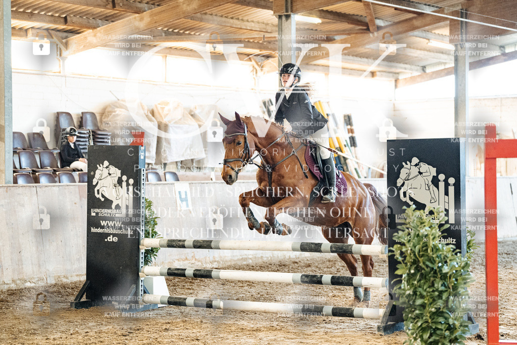 CK904727 | Turnierfotografie Pferdefotografie Trier Rheinland-Pfalz Pferdesport Reitsport Tierfotografie Sportfotografie Pferdevideo Pferdevideografie Equestrianvideography equestrianphotography  - Realized with Pictrs.com