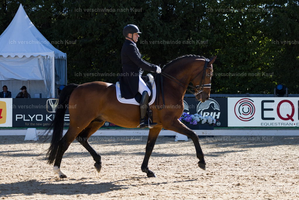 FHC2026_P07_168_17515 | working equitationturnier fotograf videograf stoibphotography marixx film working equitation deutschland reitsport turnierfotografie eventfotografie equestrian events