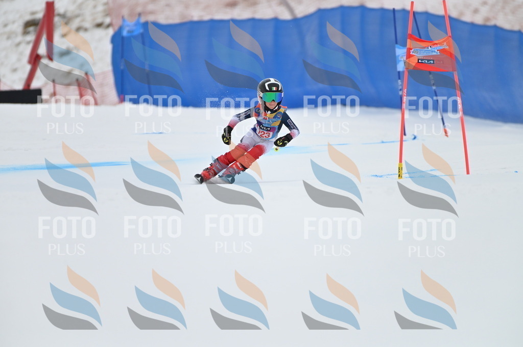 BGV_9981 | holidayphoto