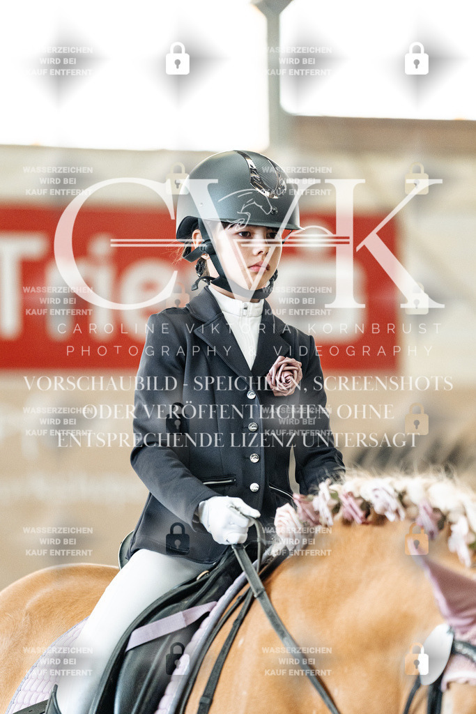 CK905668 | Turnierfotografie Pferdefotografie Trier Rheinland-Pfalz Pferdesport Reitsport Tierfotografie Sportfotografie Pferdevideo Pferdevideografie Equestrianvideography equestrianphotography  - Realized with Pictrs.com