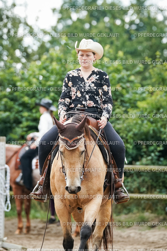 DSC04173 | Pferdegrafie