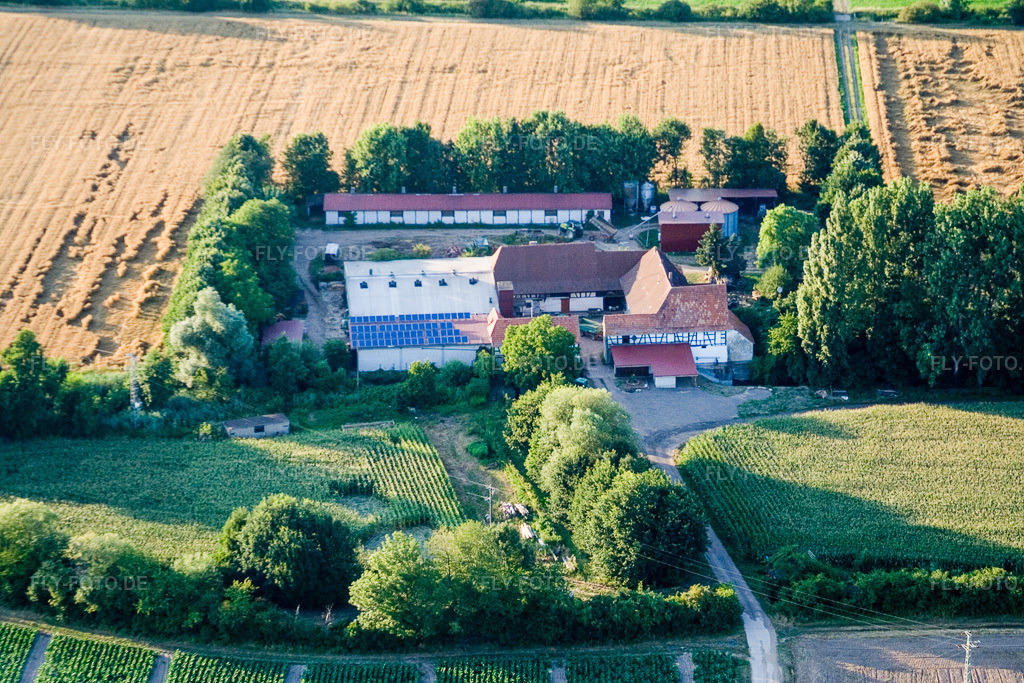 Luftbild: am Erlenbach, Leistenmühle in Kandel im Bundesland Rheinland-Pfalz in Deutschland. Foto: IMG_11807.jpg vom 25.07.2008 durch Werner Riehm/FLY-FOTO.de