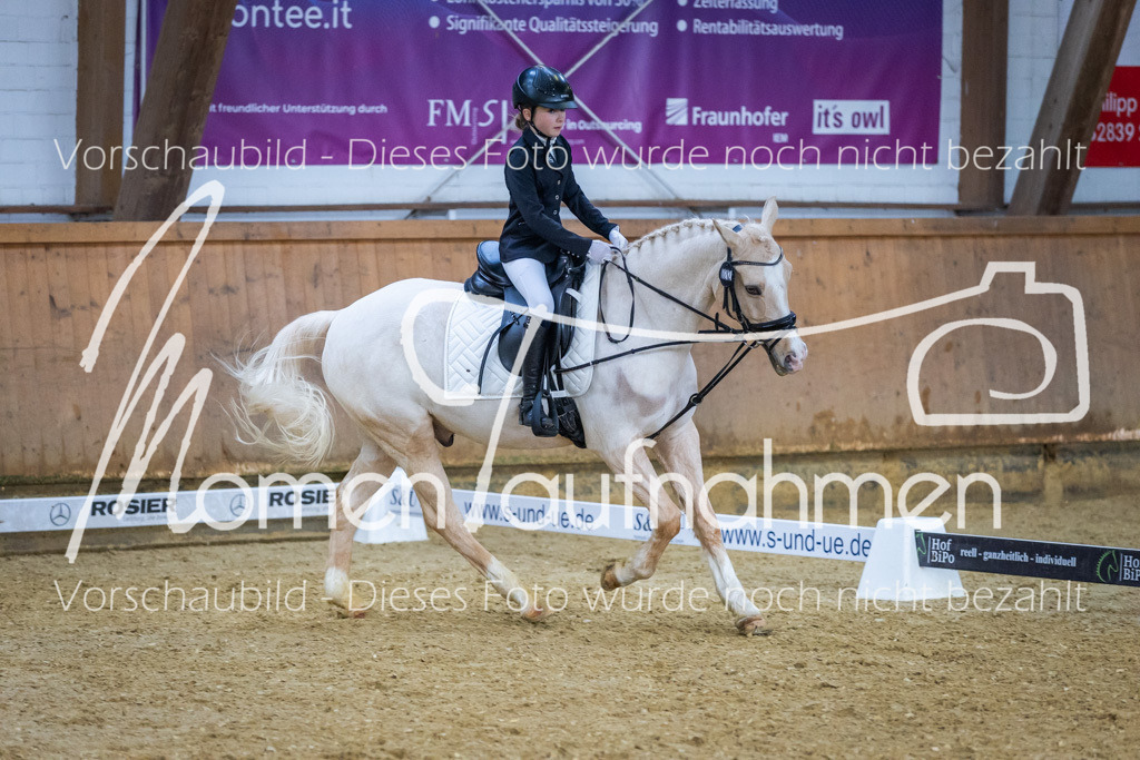 Sth-WBO25-DrR-141 | MomenTaufnahmen Pferdesportfotos