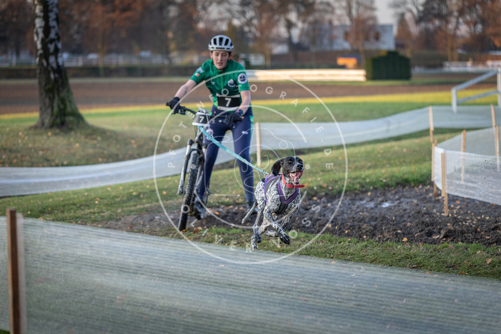 CaniXpix_DV3A9371 | Hundefotografie, Tierfotograf, Pfotenfotografie, Fotoshooting Hund, Hunde Portrait, Hundesport, Hundeportraits, Heideshooting, Hunde, Sportfotograf, Hundefotograf, Turnierhundsport, THS,  - Realisiert mit Pictrs.com
