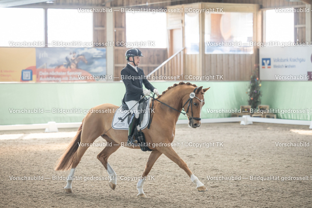 _D5A0423 | Emotionale Pferde- & People-Fotografie rund um Heidelberg, Leimen & Umgebung. Natürliche Fotos von Pferd, Mensch & Familie. Jetzt Termin sichern!