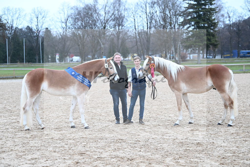 Kat-Nr. 5 Lady Cool v. Wetterstein_Gossner_Kat-Nr. 13 Wolverine v. Westwind_Lechner_48252007 | hf-fotografie - Realisiert mit Pictrs.com