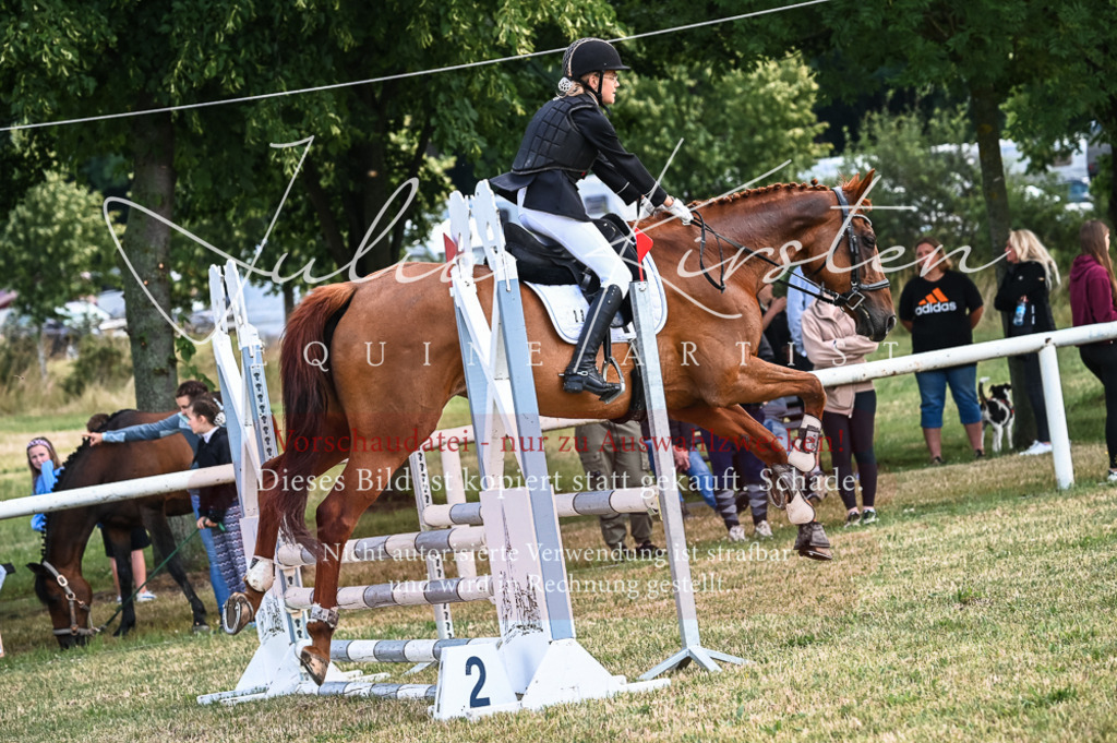 DSC_8446 | Pferde- und Turnierfotografie in Westsachsen. Pferdeportraits, Auftragszeichnungen und intuitive Kunst.