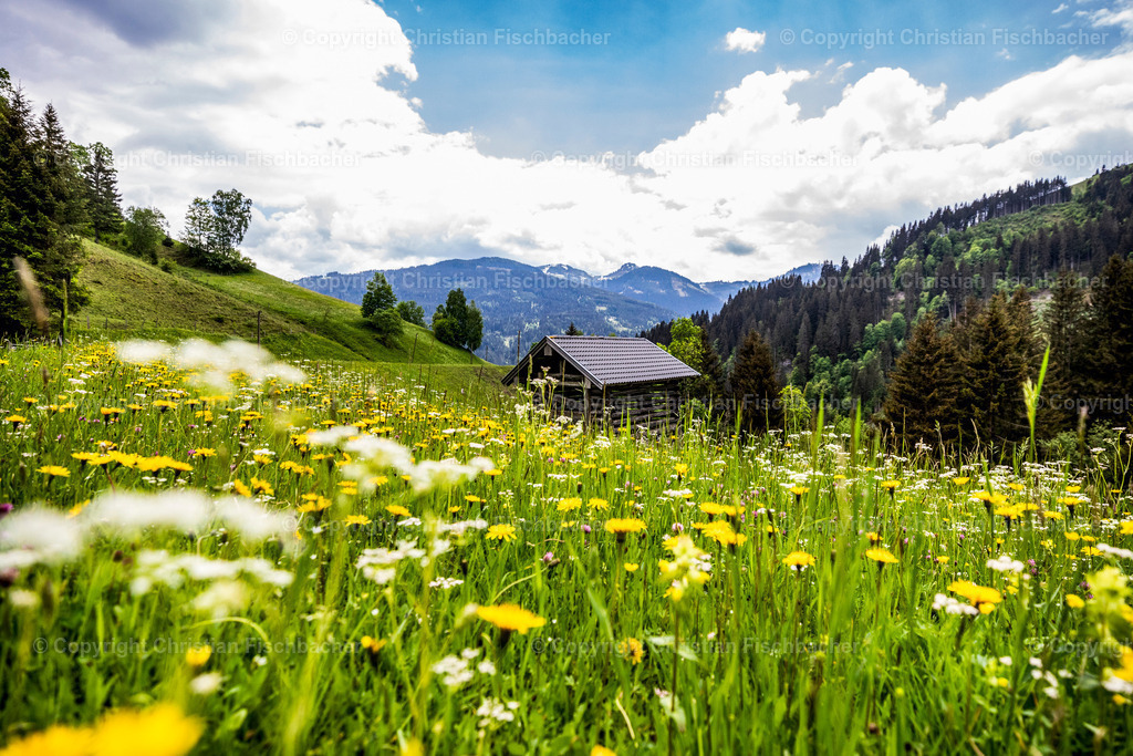 Fotos_Copyright_Chri_Fischbacher_Druck-377 | Bildershop Chri Fischbacher - Realisiert mit Pictrs.com