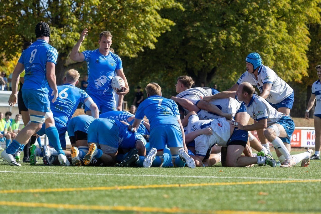 Rugby Bundesliga, Saison 2026/27, 4. Spieltag: TSV Handschuhsheim gegen München RFC | Rugby Bundesliga, Saison 2026/27, 4. Spieltag: TSV Handschuhsheim gegen München RFC / München mit Vorteil beim Gedränge - Realisiert mit Pictrs.com