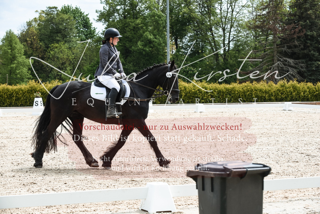 20230518_JK-Röhrsdorf-11-0022 | Pferde- und Turnierfotografie in Westsachsen. Pferdeportraits, Auftragszeichnungen und intuitive Kunst.