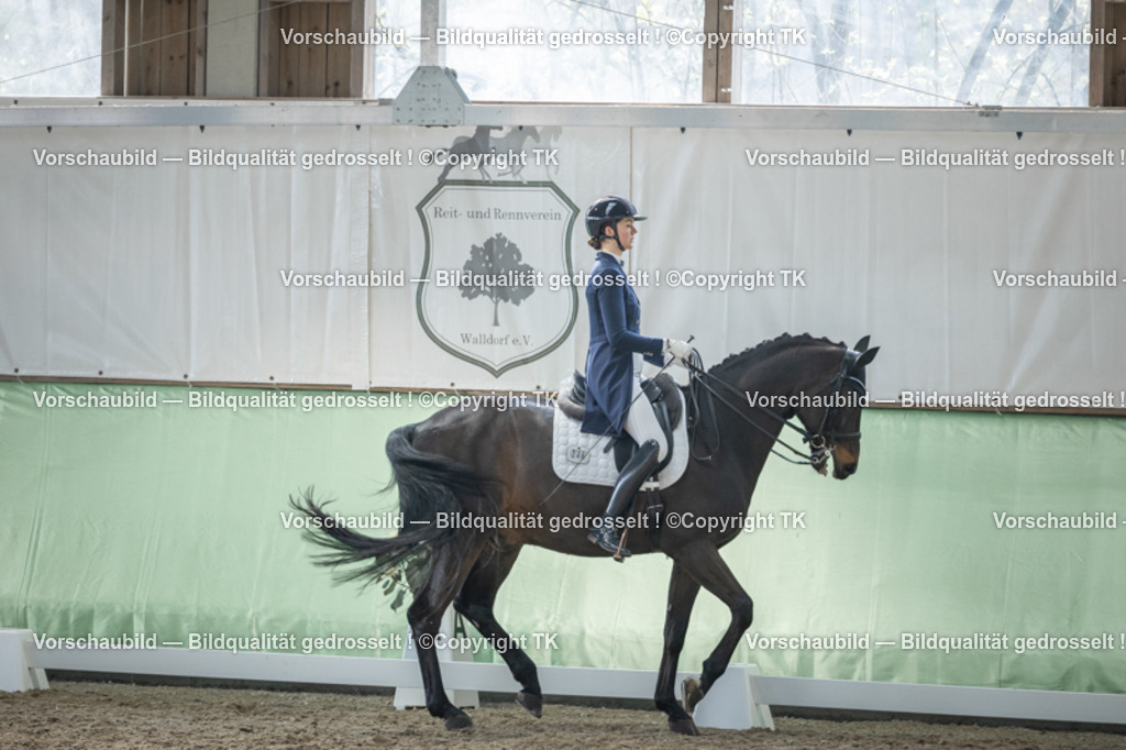 _D5A6550 | Emotionale Pferde- & People-Fotografie rund um Heidelberg, Leimen & Umgebung. Natürliche Fotos von Pferd, Mensch & Familie. Jetzt Termin sichern!