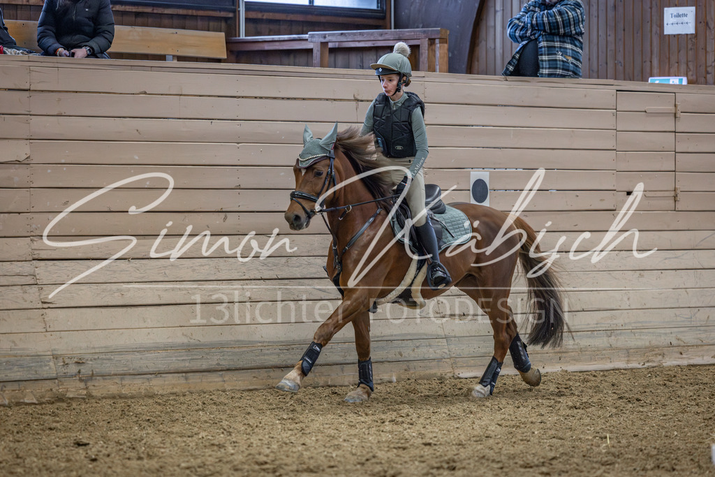 20260221-_3LI9494 | Tierfotografie Pferde, Hunde, Katzen, Haustiere.
Turnierfotografie Reitturniere, Reiten, Springreiten, Dressur in Hanau, dem Main-Kinzig-Kreis und dem Rhein-Main- Gebiet um Frankfurt