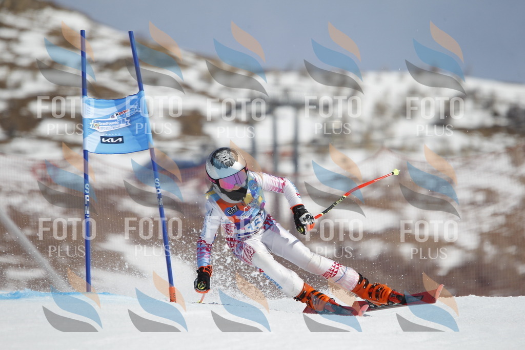 _U3G1355 | holidayphoto