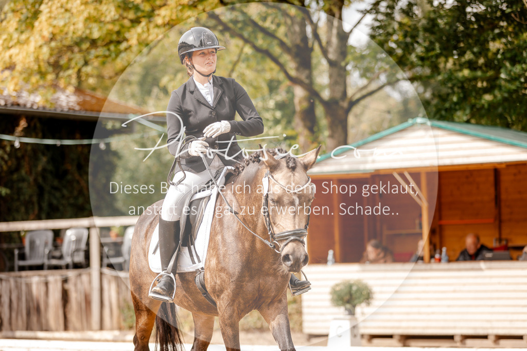 3I6A7552 | Stimmungsvolle Portraits und Reitsportfotografie im Ruhrgebiet und im Münsterland.

Pferdefotografie, Hundefotografie, Tierfotografie, Reportagen, Portraits von Tier und Mensch, Turnierfotografie in Bochum, Recklinghausen, Marl, Haltern am See, Dülmen.. - Realisiert mit Pictrs.com