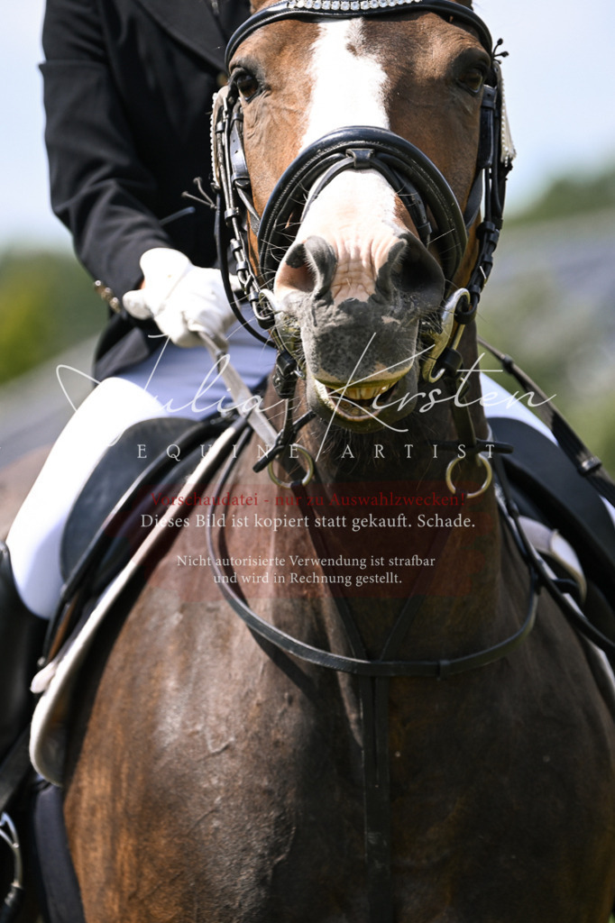 DSC_9255 | Pferde- und Turnierfotografie in Westsachsen. Pferdeportraits, Auftragszeichnungen und intuitive Kunst.